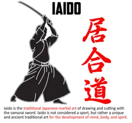 Martial arts graphic holding samurai sword